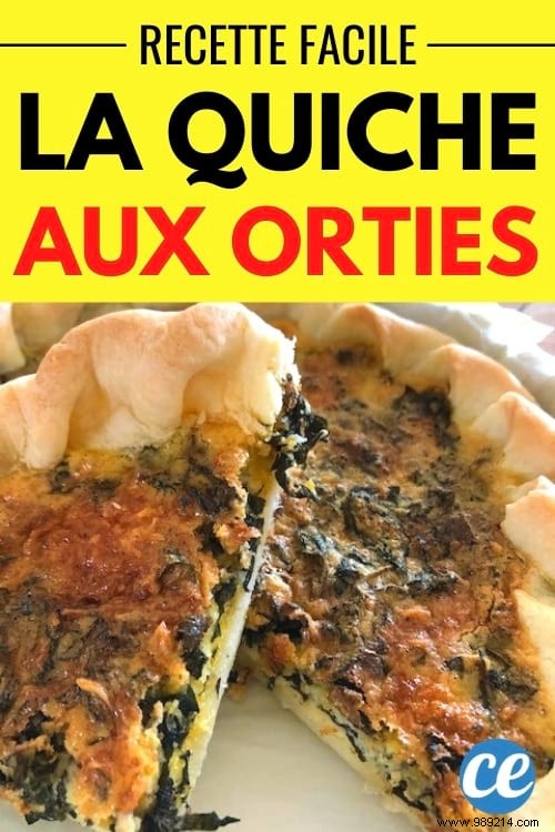 Fresh Nettle Quiche: A Simple, Delicious Recipe Using Free Garden Forage