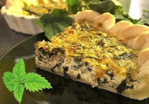 Fresh Nettle Quiche: A Simple, Delicious Recipe Using Free Garden Forage