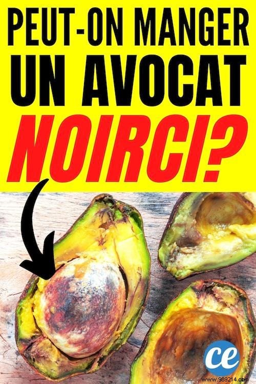 Is It Safe to Eat a Blackened Avocado? Expert Guide on When to Eat and Toss