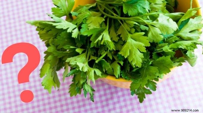 6 Best Cilantro Substitutes: Grandma s Tried-and-True Alternatives
