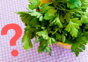 6 Best Cilantro Substitutes: Grandma s Tried-and-True Alternatives