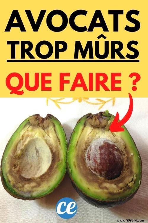 11 Expert Ways to Use Overripe Avocados: Chef-Approved Recipes and Beauty Tips