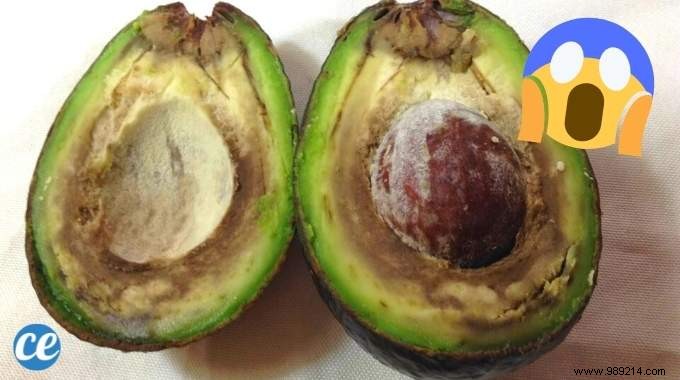 11 Expert Ways to Use Overripe Avocados: Chef-Approved Recipes and Beauty Tips