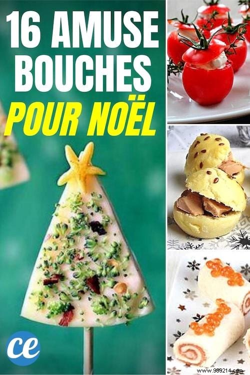 16 Easy, Budget-Friendly Christmas Appetizer Recipes to Impress Your Guests
