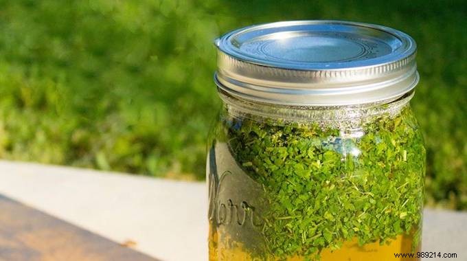 Banish Dandruff Naturally: My Proven Nettle Lotion Home Remedy