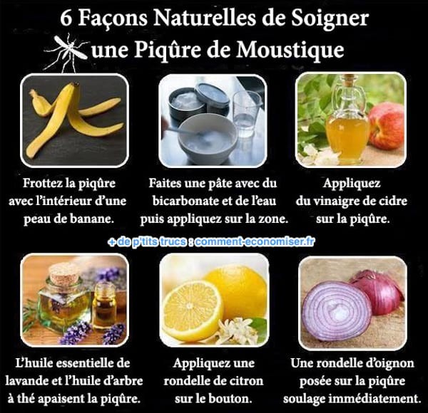 6 Proven Natural Remedies for Mosquito Bites: Fast, Effective Relief at Home