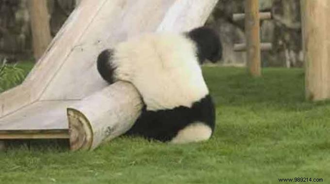 Heal Hematomas Quickly: Time-Tested White Vinegar Remedy