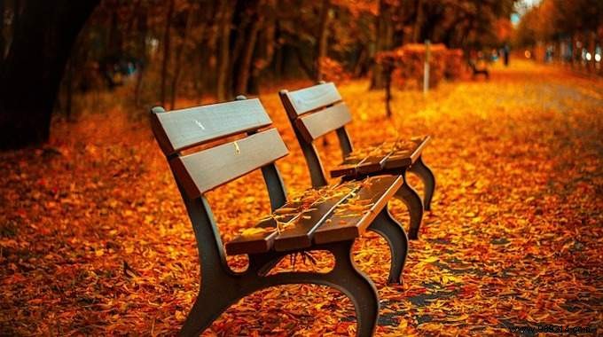 5 Proven Strategies to Overcome Autumn Depression and Boost Your Mood