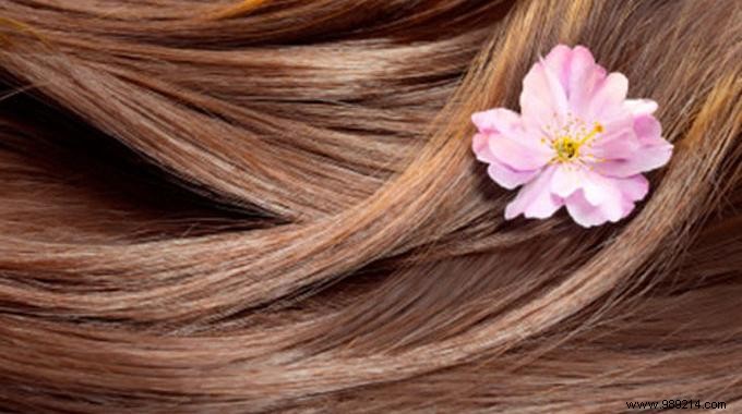 Revive Dry, Brittle Hair with This Proven Homemade Avocado Mask