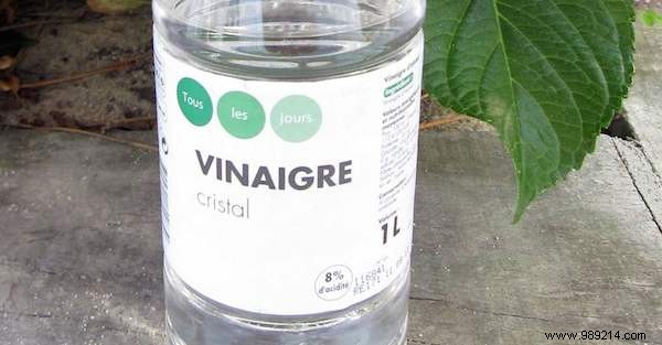 3 Proven Natural Remedies to Soothe Stinging Nettle Stings