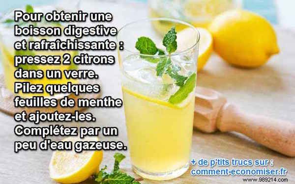 Simple Lemon-Mint Fizz: The Perfect Digestive and Refreshing Summer Drink