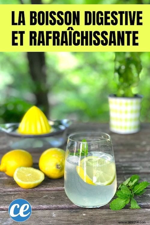 Simple Lemon-Mint Fizz: The Perfect Digestive and Refreshing Summer Drink
