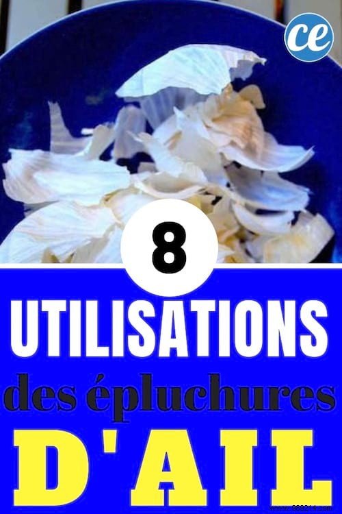 8 Genius Ways to Use Garlic Peels Instead of Throwing Them Away