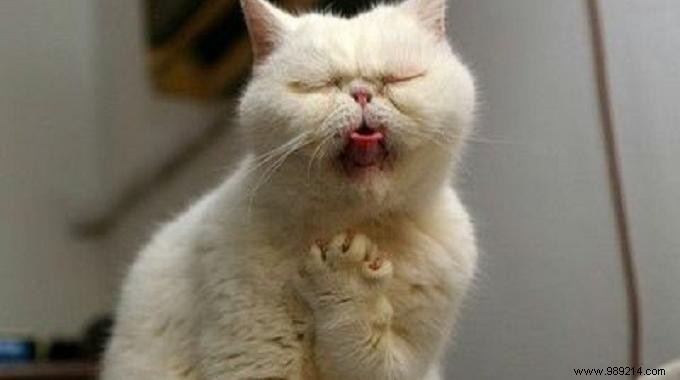 2 Proven Salt Remedies for Fast Sore Throat Relief: Gargle and Poultice