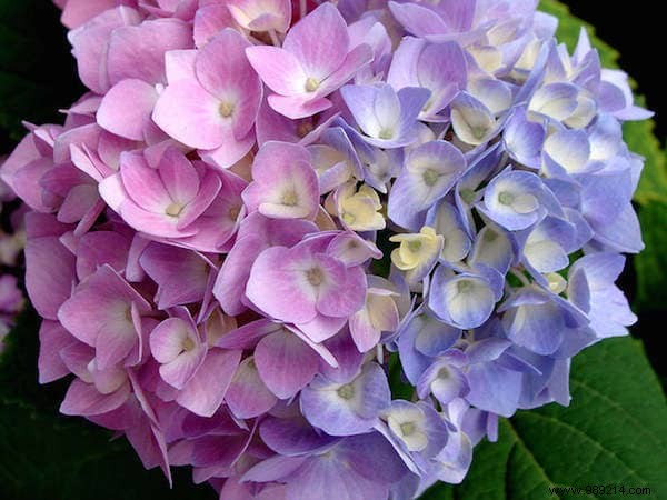 18 Ingenious Ways to Reuse Coffee Grounds You Never Knew