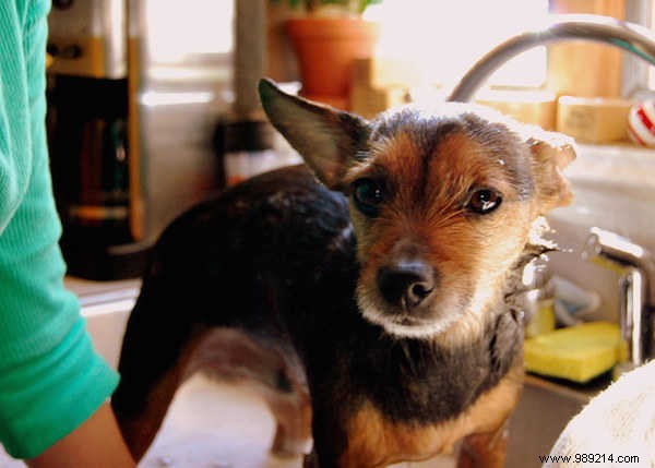 18 Ingenious Ways to Reuse Coffee Grounds You Never Knew