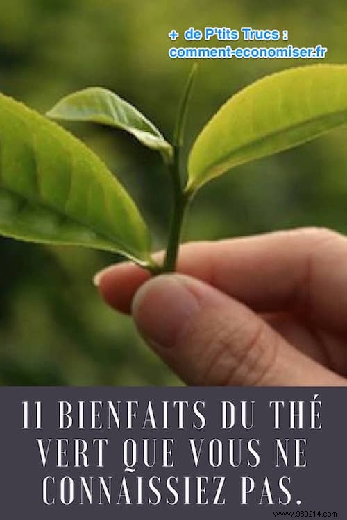 11 Proven Health Benefits of Green Tea Backed by Science