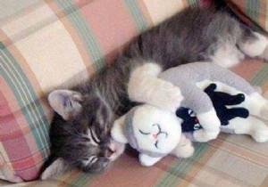 Natural Almond Milk Drink: A Simple Way to Fall Asleep Faster