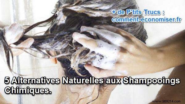 5 Proven Natural Alternatives to Chemical Shampoos for Healthier Hair