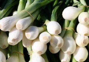 Unlocking the Proven Health Benefits of Onions: Time-Tested Natural Remedies