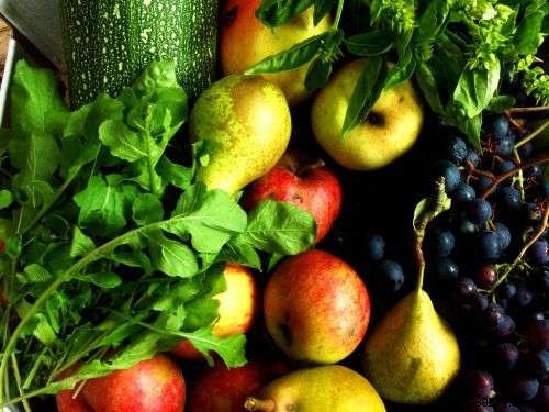 10 Proven Tips for Effective Weight Loss Before Summer