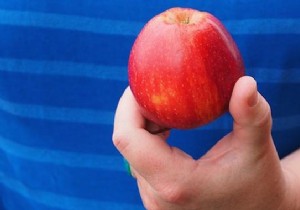 Why You Should Avoid Eating Apples After Meals – The Best Time for Optimal Digestion