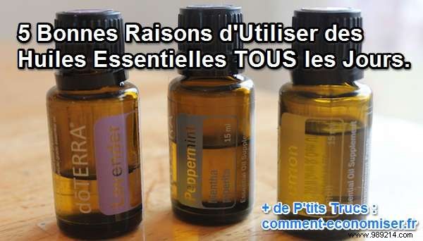 5 Proven Reasons to Incorporate Essential Oils into Your Daily Routine