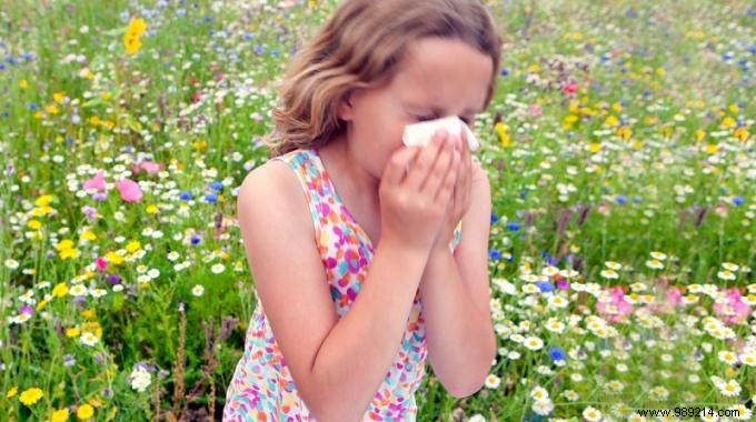 6 Proven Natural Strategies to Combat Spring Allergies