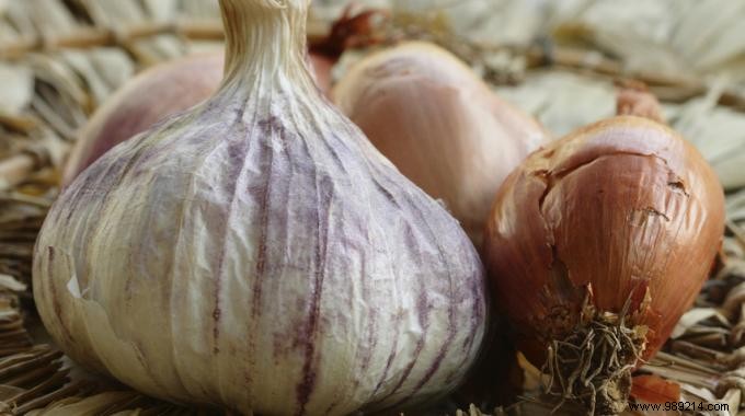 Unlocking Garlic s Proven Health Benefits: Nature s Trusted Remedy