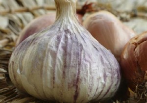 Unlocking Garlic s Proven Health Benefits: Nature s Trusted Remedy