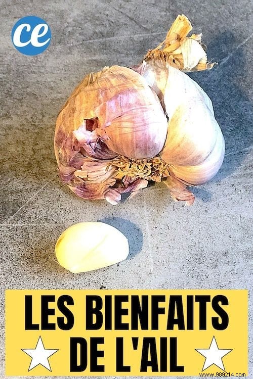 Unlocking Garlic s Proven Health Benefits: Nature s Trusted Remedy