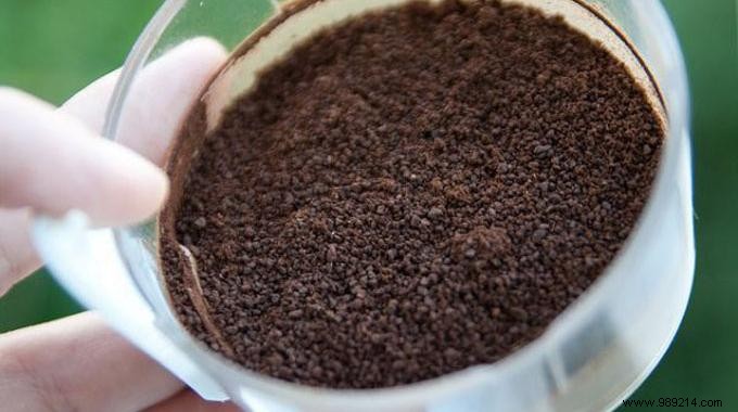 Reduce Cellulite Naturally with Coffee Grounds: A Proven, Free DIY Remedy