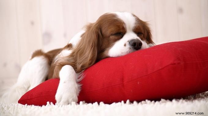 The Proven Bedtime Trick to Fall Asleep Faster and Stress-Free