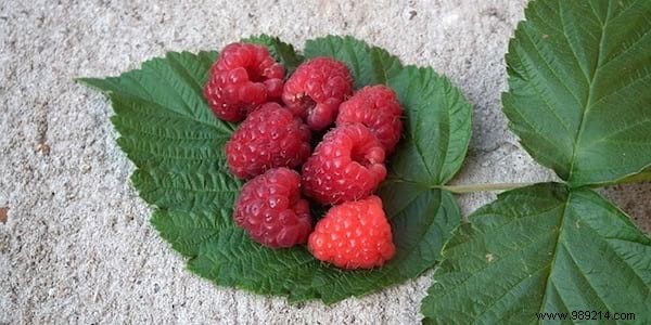 16 Proven Natural Gargles to Soothe and Heal a Sore Throat