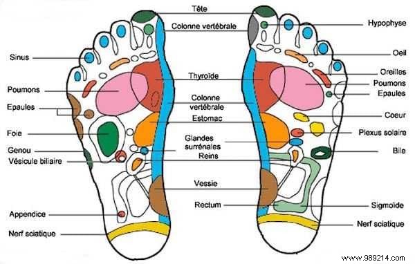 The Time-Tested Onion-in-Socks Remedy: Natural Relief for Colds and Flu