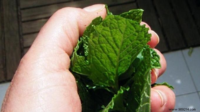 6 Time-Tested Natural Fever Remedies Passed Down from Grandma