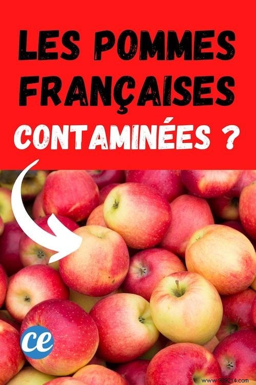 French Court Upholds Greenpeace: Pesticides Contaminate Apples, Organic Farming Urged