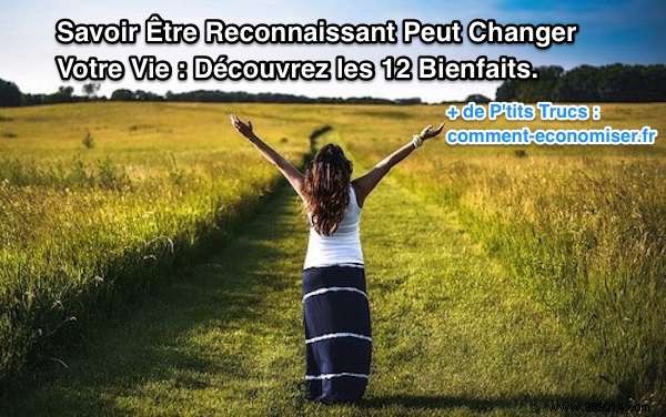 12 Proven Benefits of Gratitude: How Daily Thankfulness Transforms Your Life