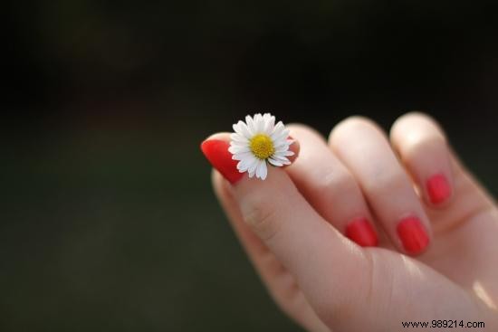 3 Natural Remedies for Silky Soft Hands: A Gardener s Tried-and-True Favorites