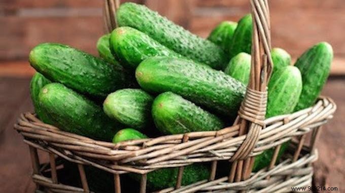 20 Low-Calorie Foods Under 50 kcal per 100g to Support Healthy Weight Loss