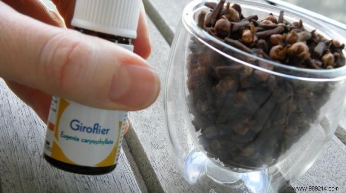 Natural Appetite Suppressants Using Essential Oils: Simple, Proven Recipes