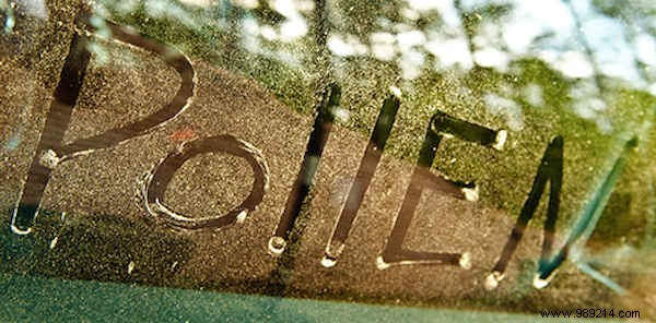 10 Proven Tips to Manage Pollen Allergies and Ease Hay Fever Symptoms