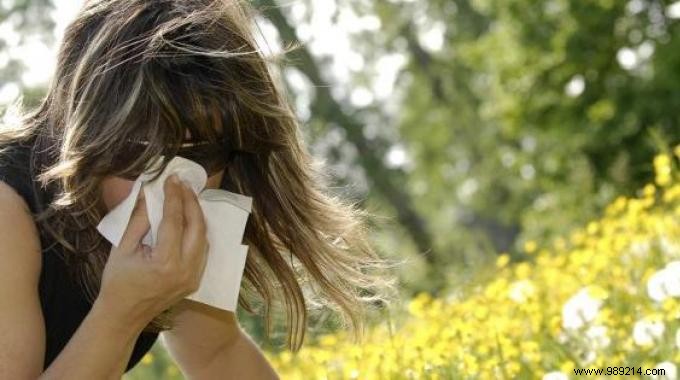 10 Proven Tips to Relieve Hay Fever Symptoms – My Personal Experience