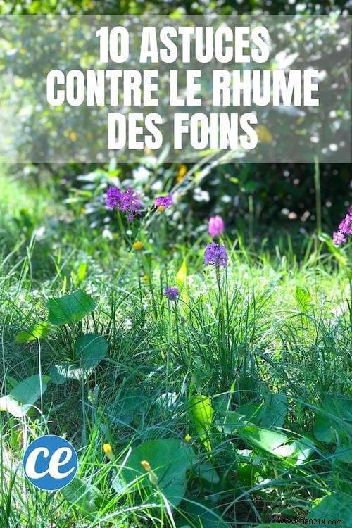 10 Proven Tips to Relieve Hay Fever Symptoms – My Personal Experience