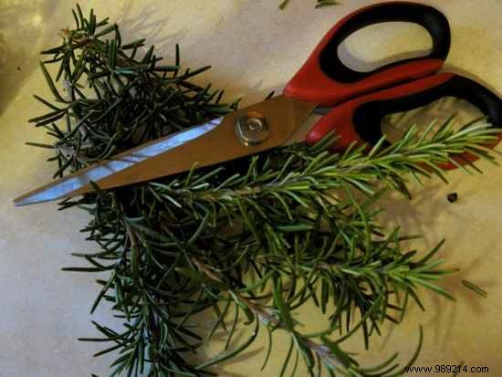 DIY Facial Steam Sauna: Expert Guide to Deep Cleanse, Purify, and Hydrate Your Skin at Home