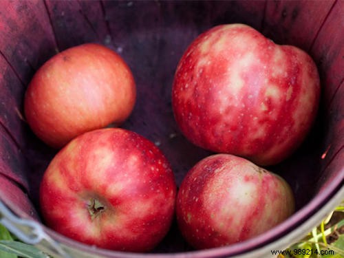 19 Proven Home Remedies That Actually Work, Backed by Doctors and Studies