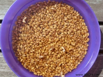 29 Science-Backed Superfoods: The World s Most Nutrient-Dense Foods for Better Health