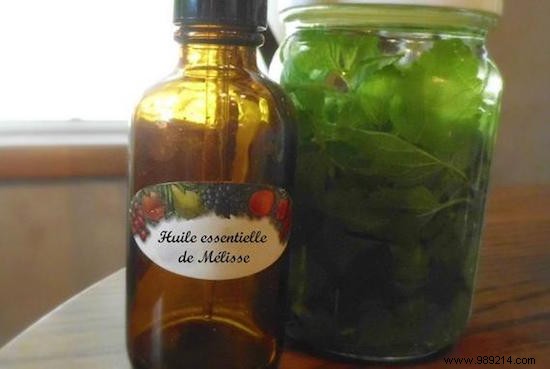 Natural Olive Oil and Lemon Balm Massage to Firm and Tone Breasts