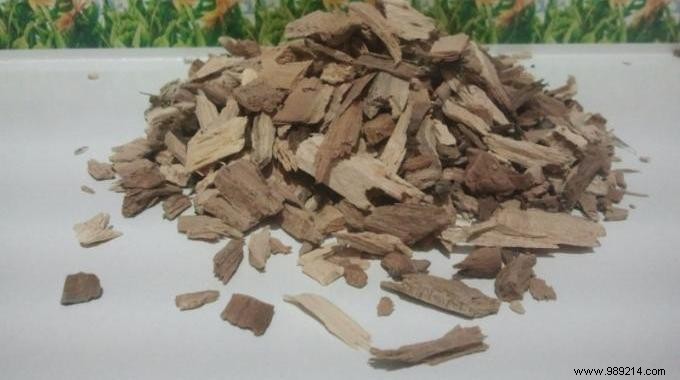 18 Surprising Uses for Panama Wood (Quillaja Saponaria) Backed by Tradition and Science