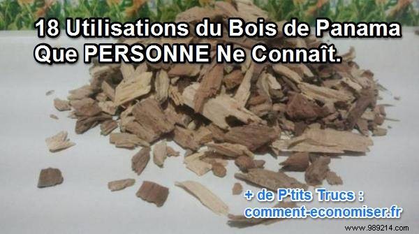 18 Surprising Uses for Panama Wood (Quillaja Saponaria) Backed by Tradition and Science